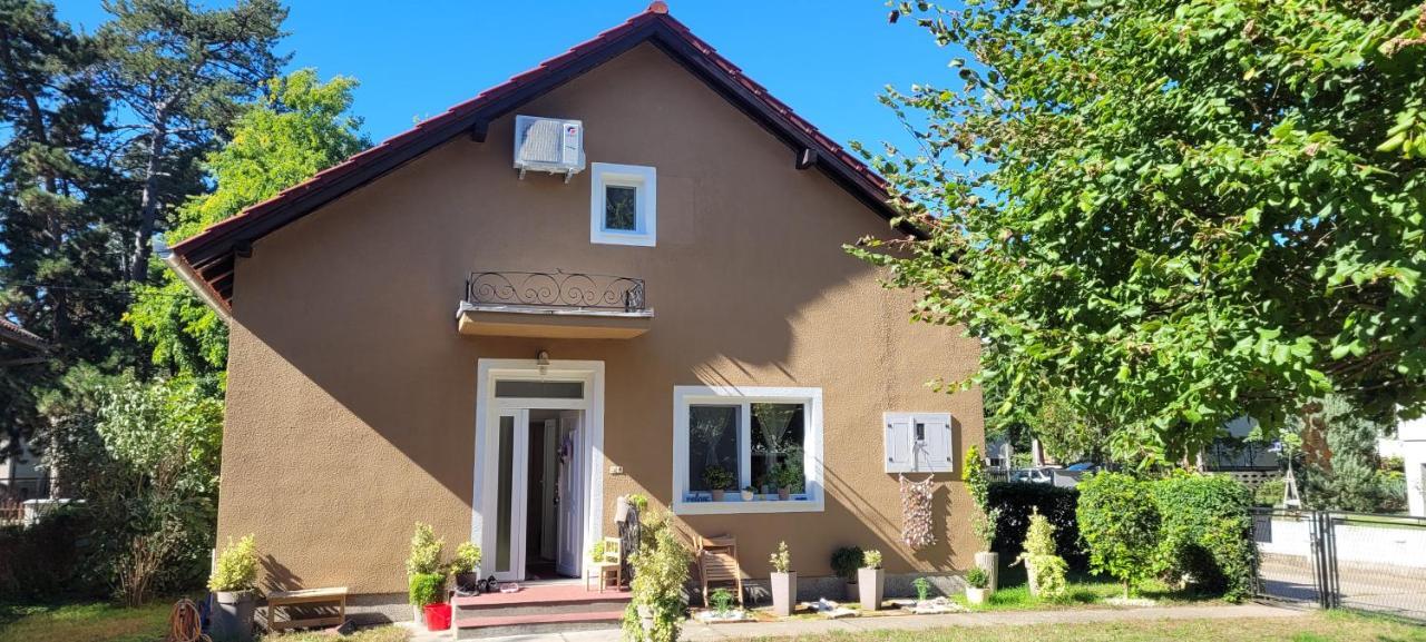 Apartman Aleksandar Lux Palić المظهر الخارجي الصورة