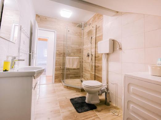 Apartman Aleksandar Lux Palić المظهر الخارجي الصورة