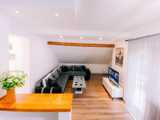 Apartman Aleksandar Lux Palić المظهر الخارجي الصورة