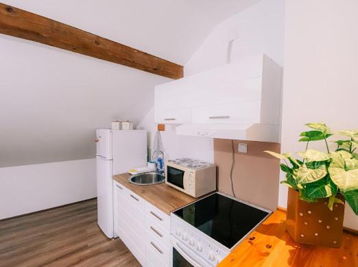 Apartman Aleksandar Lux Palić المظهر الخارجي الصورة